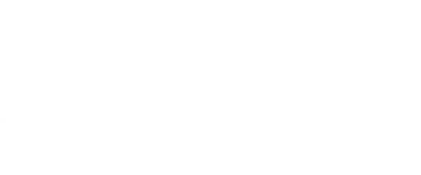 logo sostilish white
